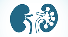 Diagram of Kidneys